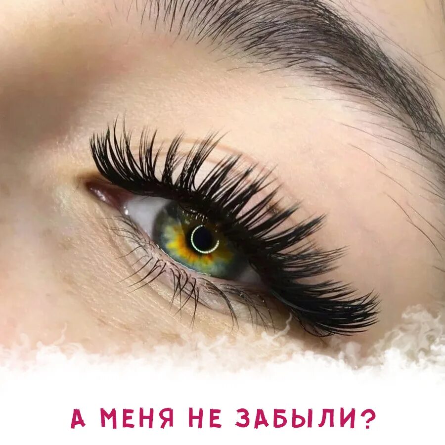 Нарощенные ресницы мокрый эффект фото 3д Девушка брови ресницы купить - Красота