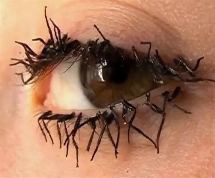 Нарощенные ресницы смешные фото Fake eyelashes, Eyelashes, Makeup