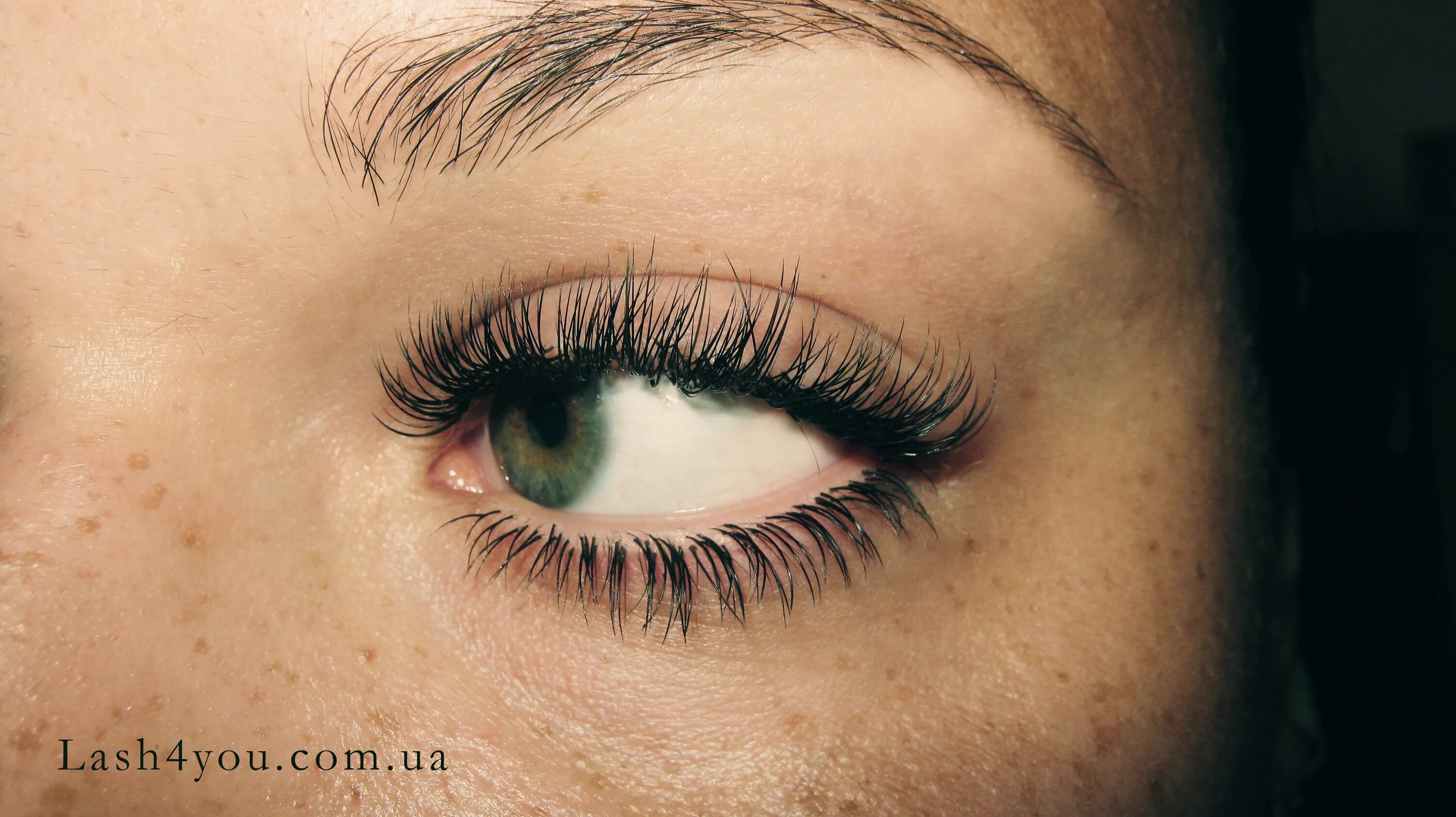 Нарощенные ресницы сверху и снизу фото Нижние ресницы Lash4you