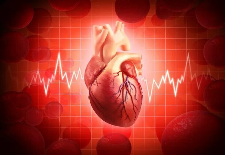 Нарушение ритма сердца фото Pin en Salud y Consejos Médicos