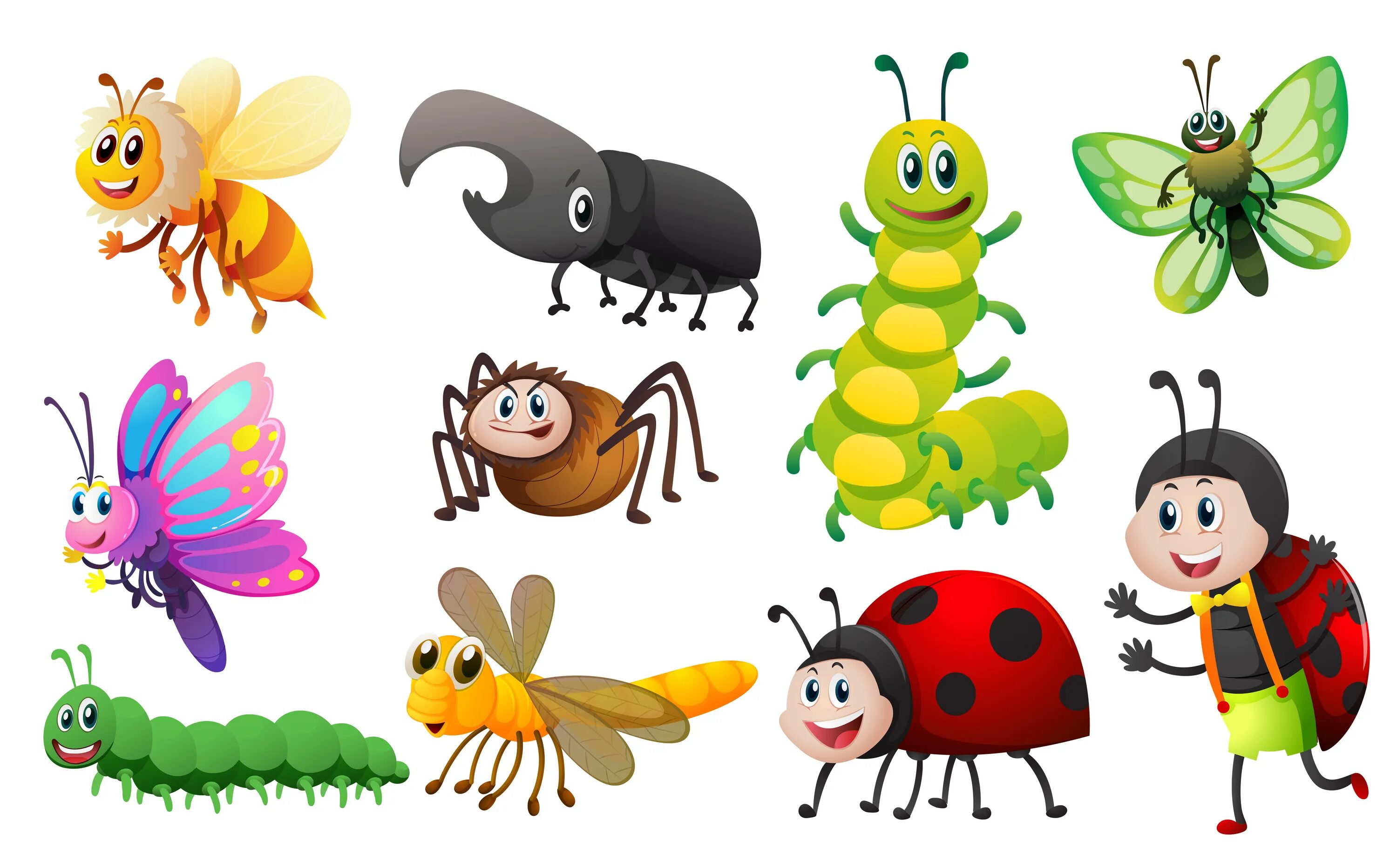 Насекомые для оформления в детском саду Different kinds of insects 413752 Vector Art at Vecteezy