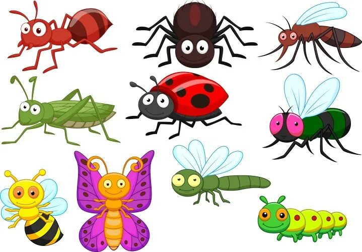 Насекомые картинки для оформления детского сада Spider and butterfly cartoon Royalty Free Vector Image