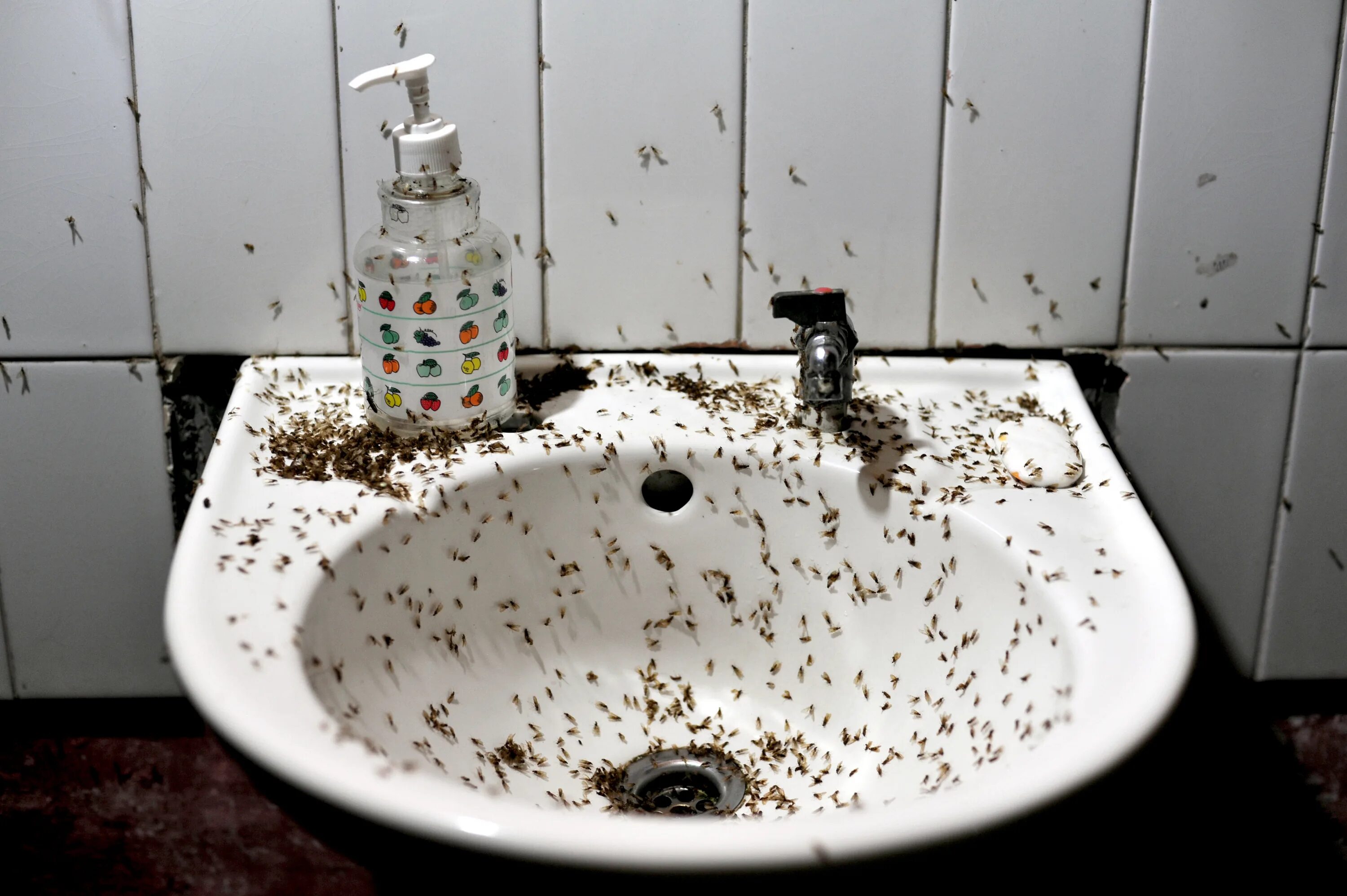 Насекомые в ванной комнате фото Weeping mum jailed after her kids were found in bedroom swarming with flies and 