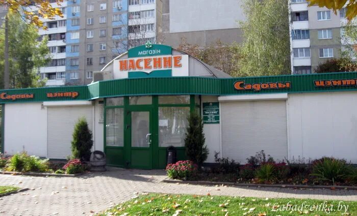 Насенне пушкинский просп 16 фото Вечны покліч zviazda.by