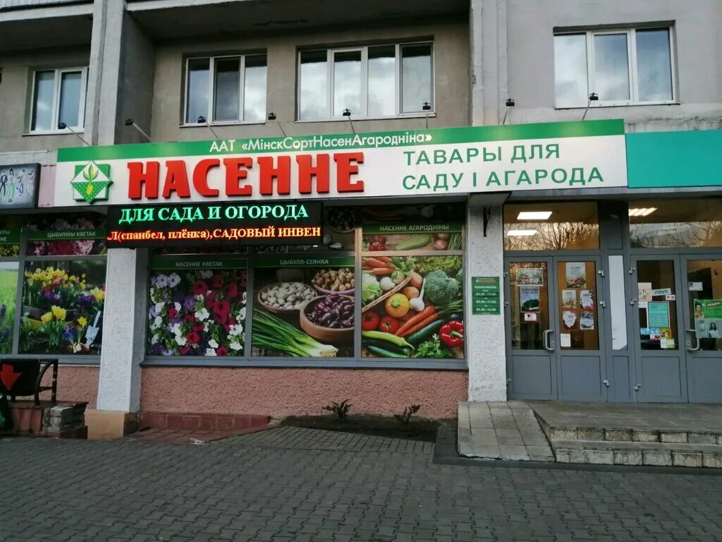 Насенне пушкинский просп 16 фото Семена, магазин семян, Пушкинский просп., 16, Могилёв, Беларусь - Яндекс.Карты