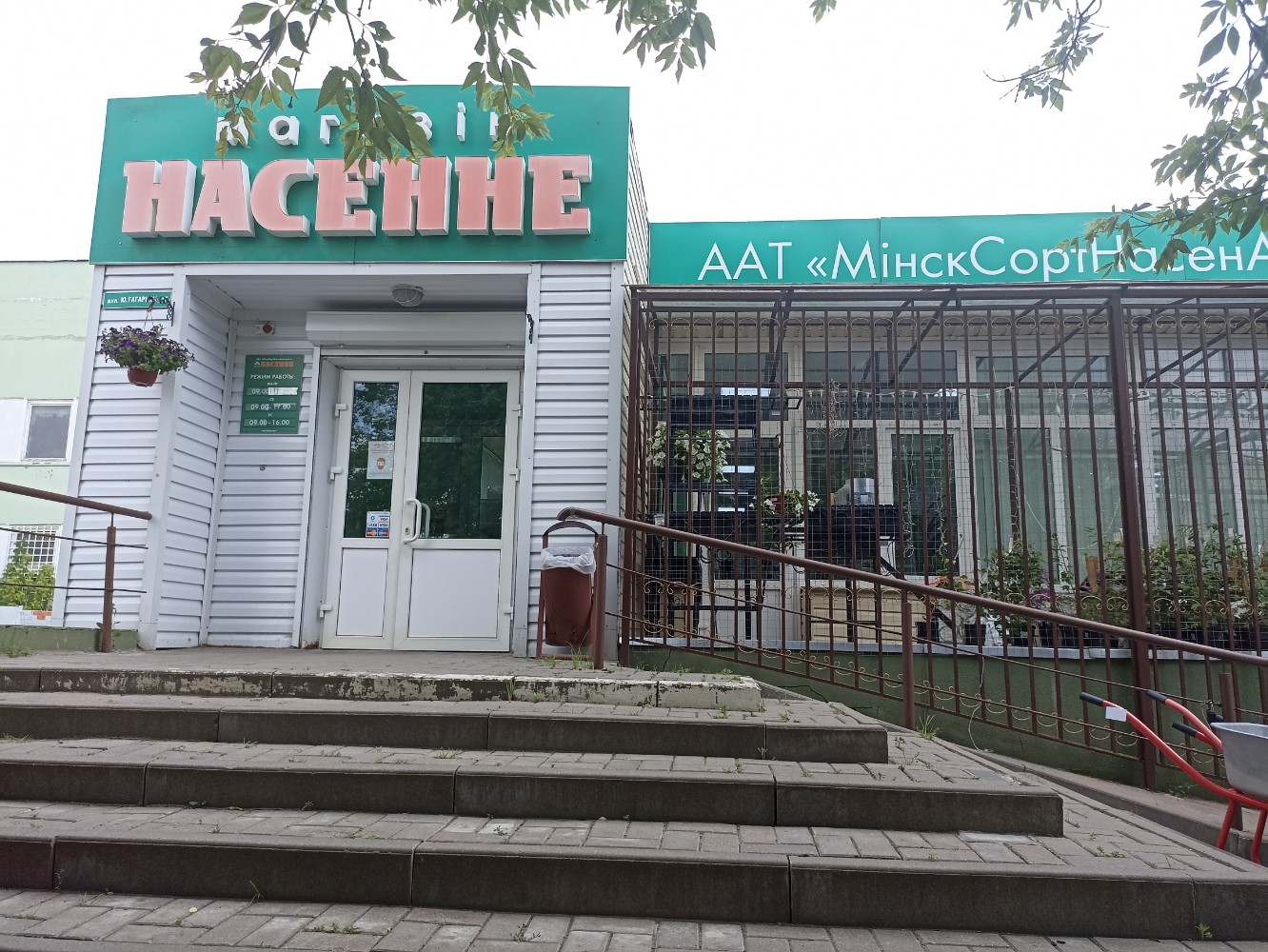 Насенне ул гагарина 15 фото Насенне, магазин для садоводов, Гомель, ул. Гагарина, 15 - Яндекс Карты