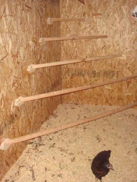 Насест для кур фото оригинальные идеи backyardchickencoopplans.com Chicken roost, Diy chicken coop, Portable chicken c
