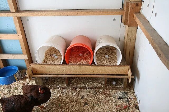 Насест для кур фото оригинальные идеи #homestead #Chickens - Chicken nest boxes Nesting boxes, Pet chickens, Chickens