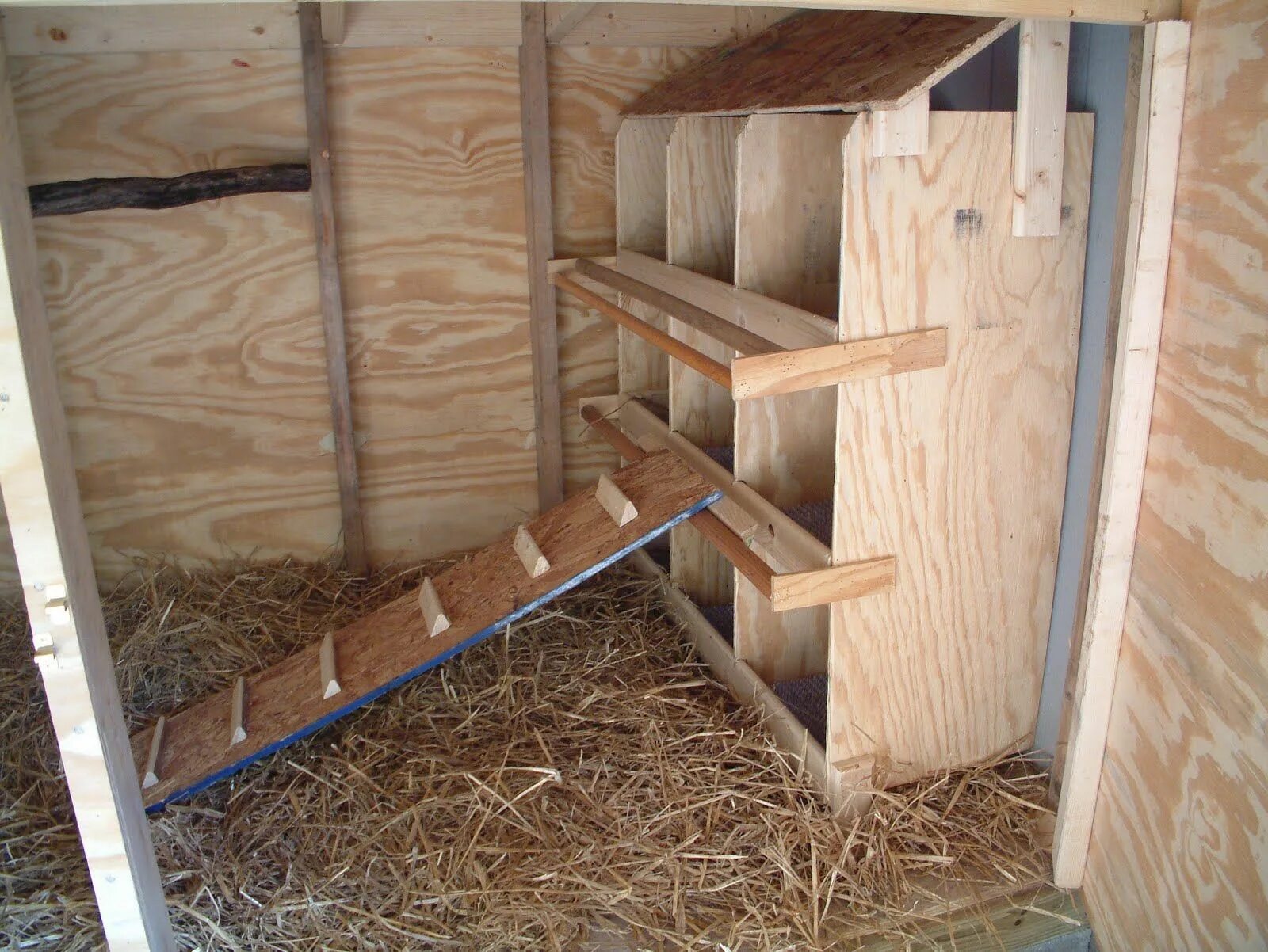 Насест для кур несушек фото inside chicken coop pictures - Bing Images Chicken roost, Chicken nesting boxes,