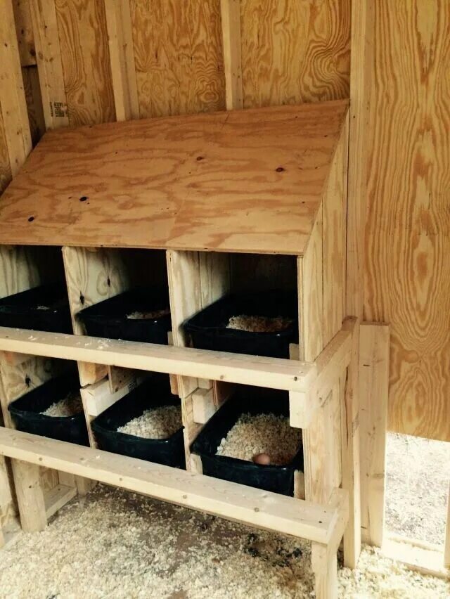 Насест для кур несушек своими руками фото Pin on Chicken Coop ideas Chicken coop plans, Chickens backyard, Chicken coop pa