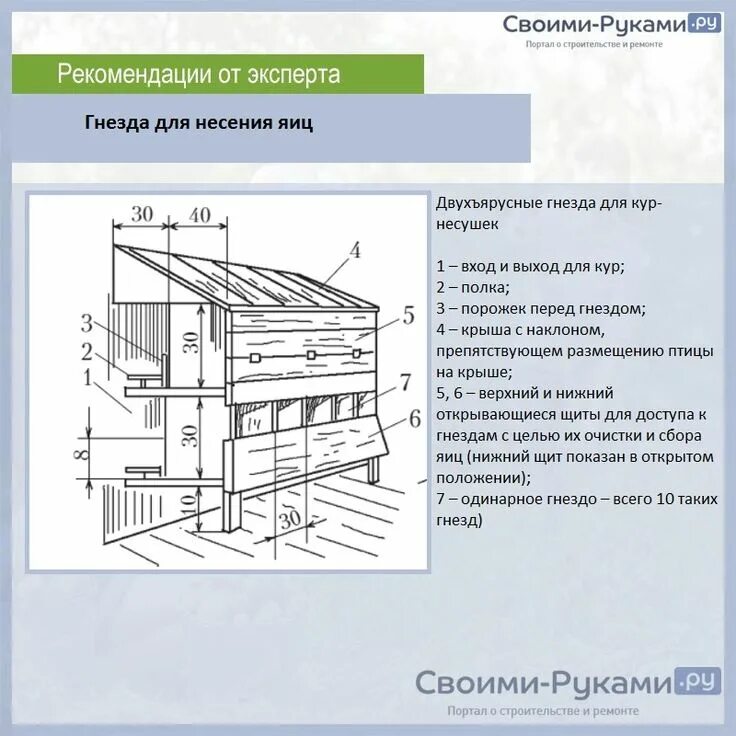 Насест для кур размеры чертежи фото Пин на доске Сад,огород.