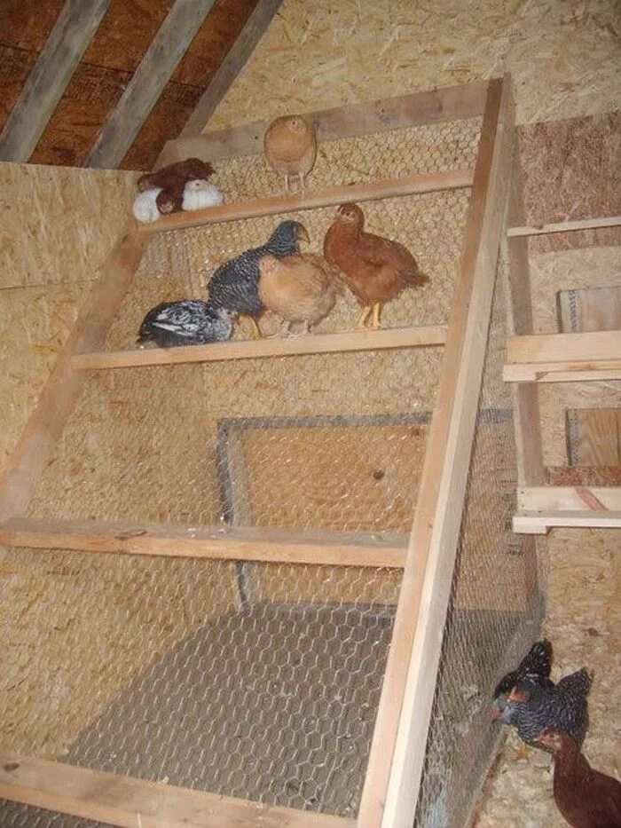 Насест для кур размеры фото Image result for chicken coop roost instructions #DIYchickencoopplans #chickenco