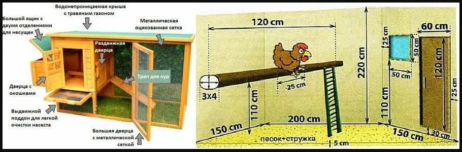 Насест для кур своими руками чертежи Гнезда в курятнике (20 фото): размеры. Как своими руками правильно сделать курин
