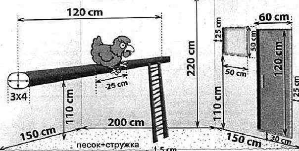 Насест для кур своими руками чертежи Курятник своими руками на 10-20 кур пошаговая инструкция с фото и чертежами Куря