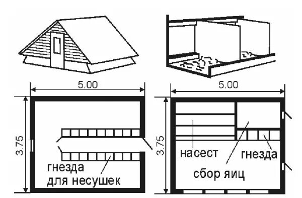 Насесты для кур размеры чертежи своими руками Высота насеста для кур