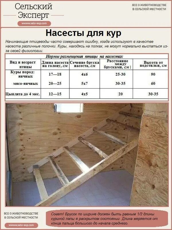 Насесты для кур размеры чертежи своими руками Гнезда в курятнике (20 фото): размеры. Как своими руками правильно сделать курин