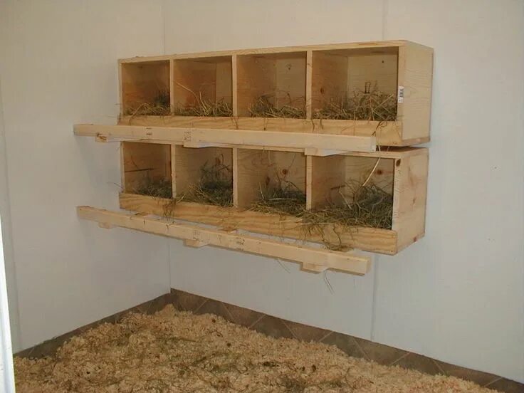 Насесты для несушек своими руками фото Like them mounted on the wall... Space under for feeding and water. Hühner, Nist