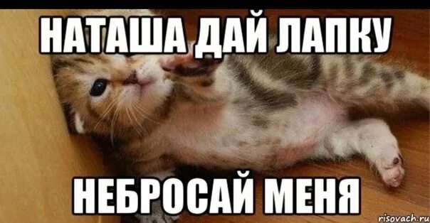 Наташа есть фото Включи наташу где она играет