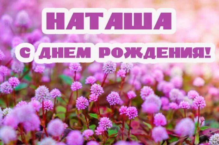 Наташа с днем рождения картинки С Днём Рождения, Наталья!). Форум GdePapa.Ru
