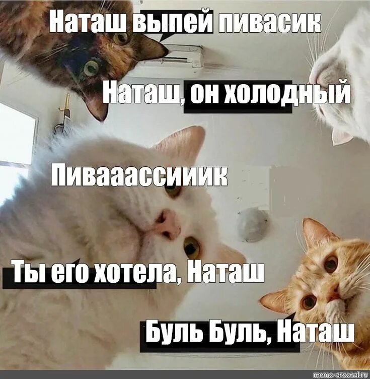 Наташа смешно фото Пин на доске коты и Наташа Веселые картинки, Мемы, Смешно
