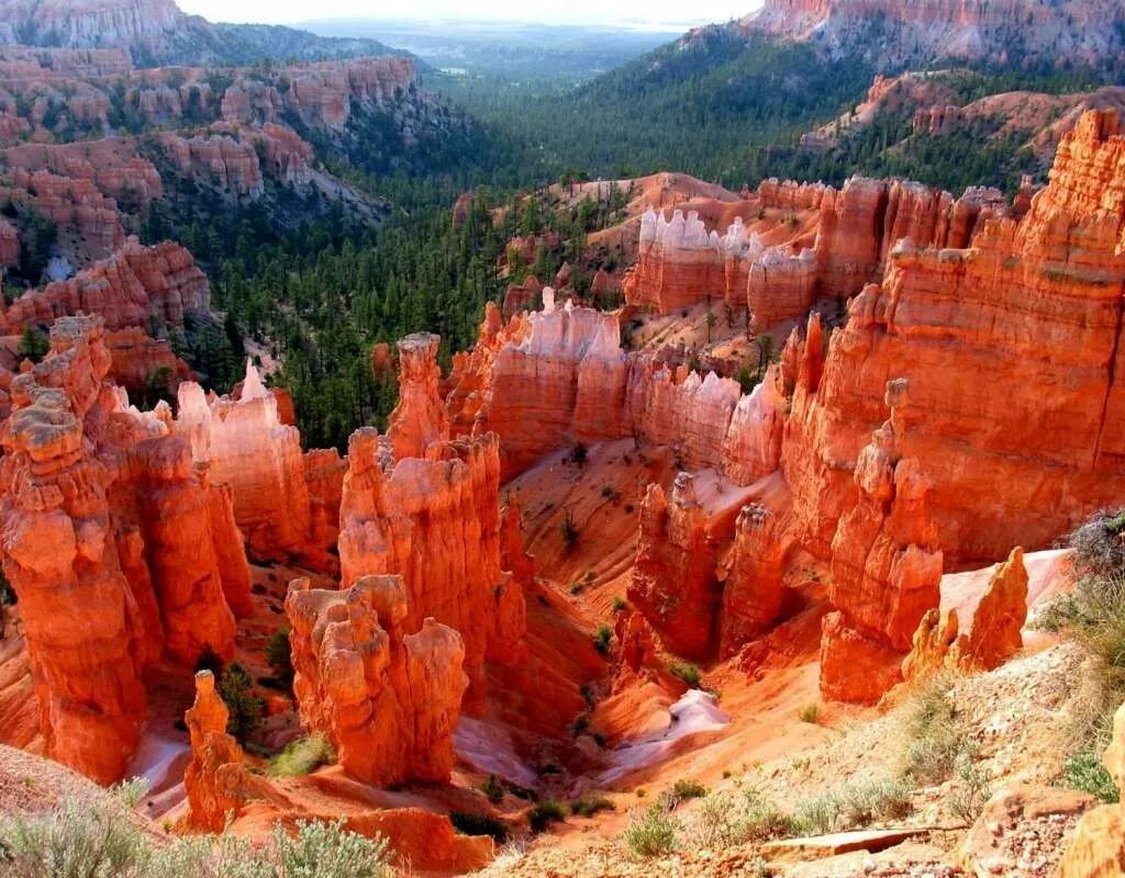 Национальные парки сша фото The Best National Parks in the USA National parks photography, Utah national par