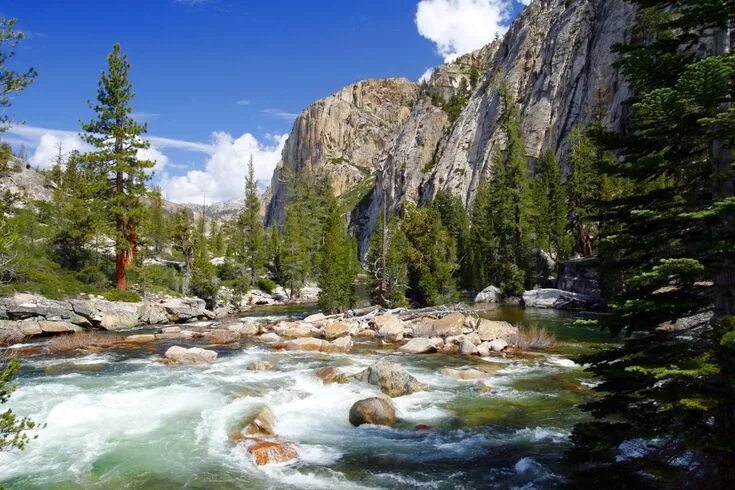 Национальные парки сша фото 4) Twitter California nature, California national parks, Yosemite california