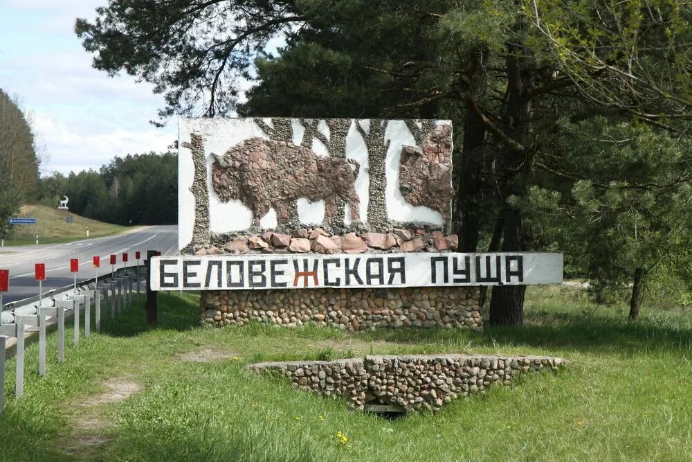 Национальный парк беловежская пуща фото Беловежская пуща: Удивительные факты и ее уникальное наследие Outdoor decor, His