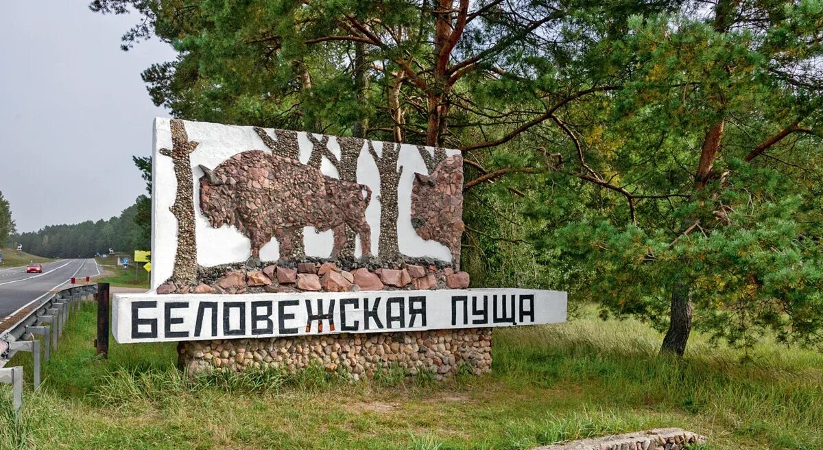 Национальный парк беловежская пуща фото Воспитываем патриота - "Детский сад № 78 г. Витебска"