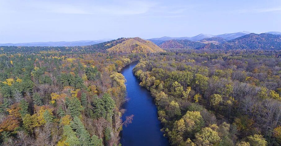 Национальный парк бикин фото Indigenous land in Russia declared World Heritage - IWGIA - International Work G