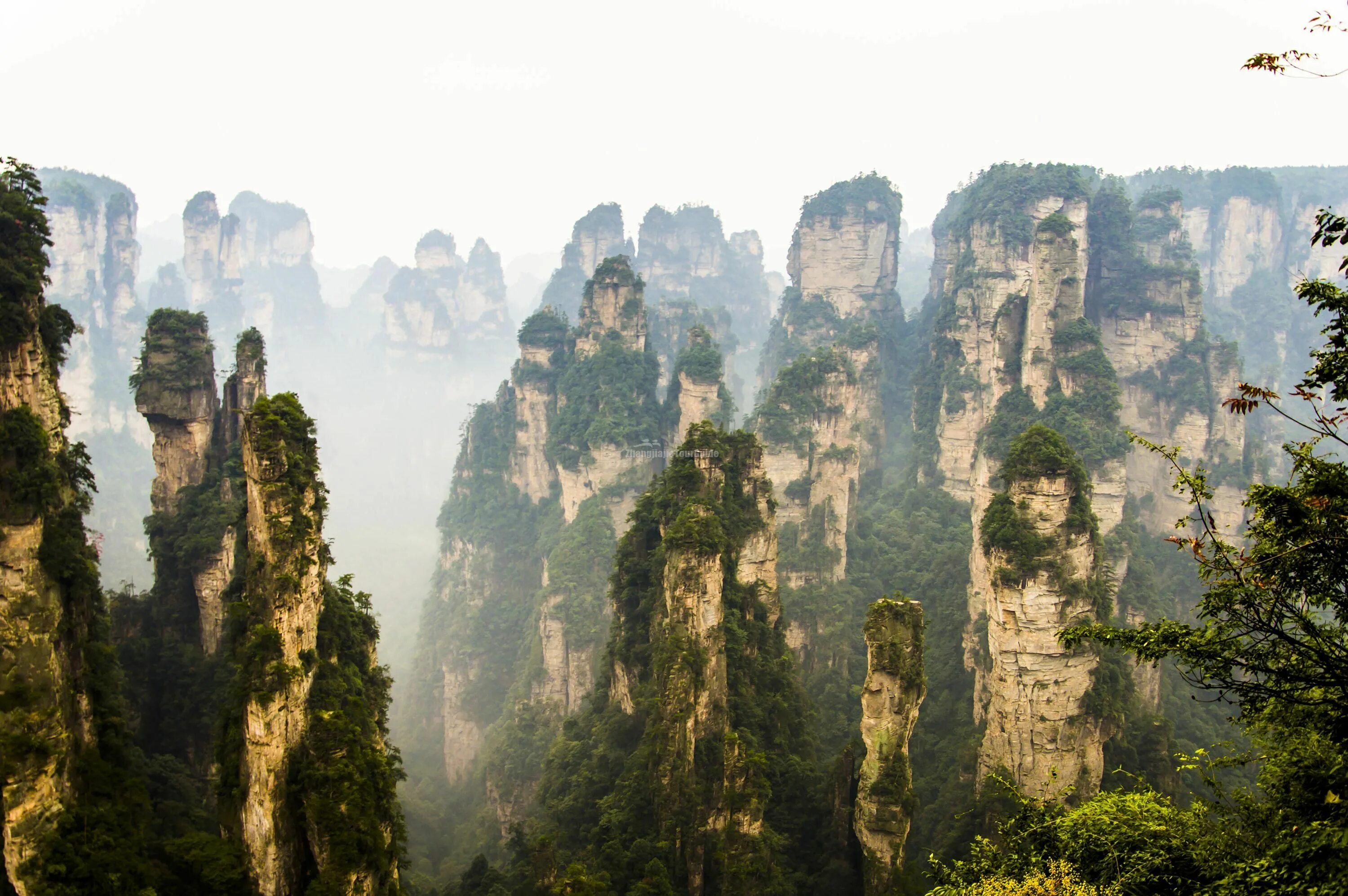 Национальный парк чжанцзяцзе фото Zhangjiajie National Forest Park Peaks Forest park, National forest, National pa