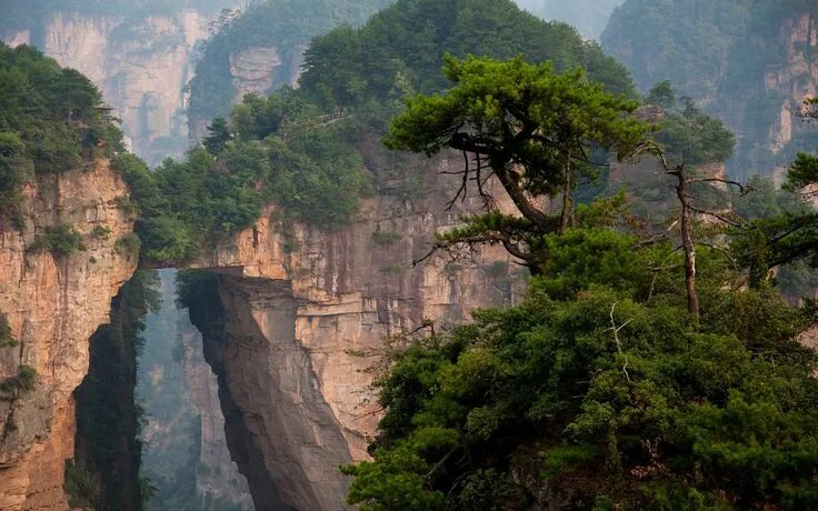 Национальный парк чжанцзяцзе фото Pin by Sürur Öztürk on Manzara Fotoğrafları Zhangjiajie, National parks, Park pi
