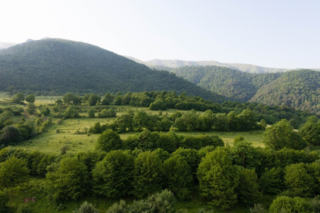 Национальный парк дилиджан национальный парк дилиджан фото GoToDili Dilijan National Park. A forest temple of Armenia.