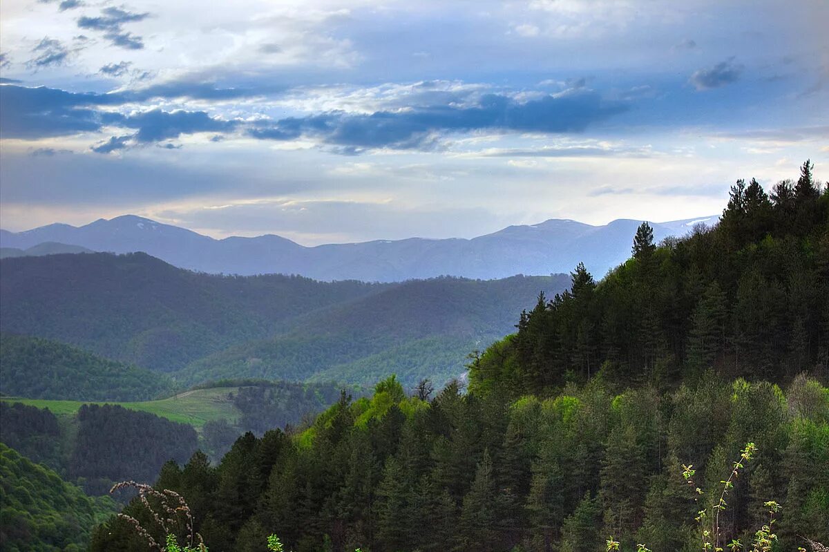 Национальный парк дилиджан национальный парк дилиджан фото Файл:"Dilijan" national park.jpg - Википедия