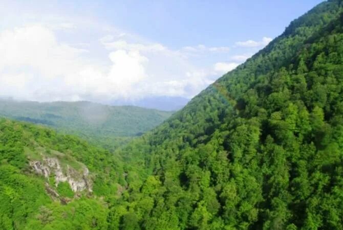 Национальный парк дилиджан национальный парк дилиджан фото Потушены очаги возгорания в ГПОН "Национальный парк "Дилижан"" - АРМЕНПРЕСС Армя