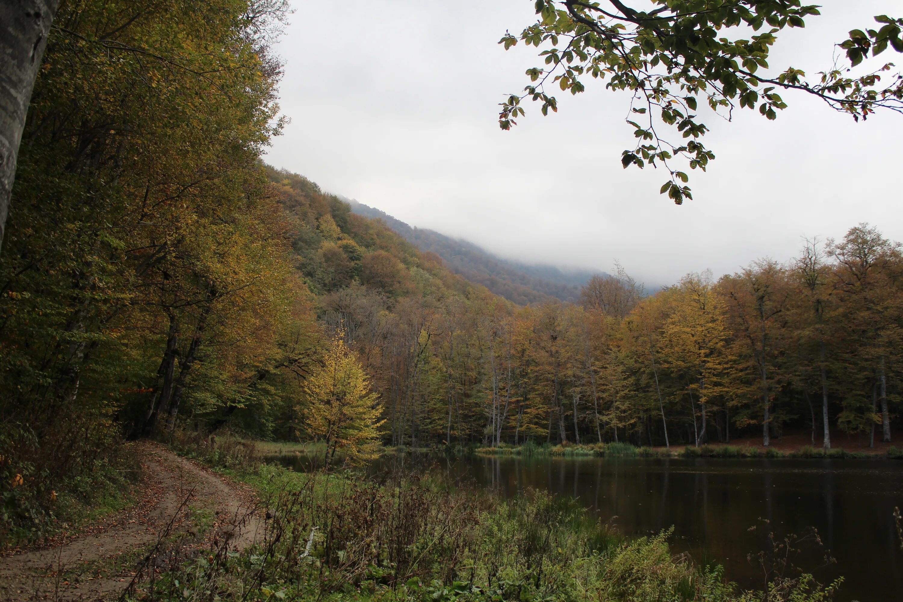 Национальный парк дилиджан национальный парк дилиджан фото File:Gosh Lake, Dilijan National Park 50.jpg - Wikimedia Commons