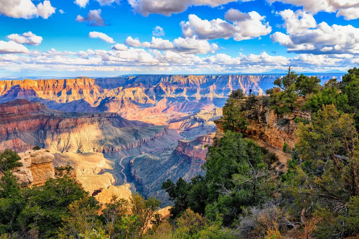 Национальный парк гранд каньон фото Великий каньон длинною в год. Terra - Harmonium Дзен