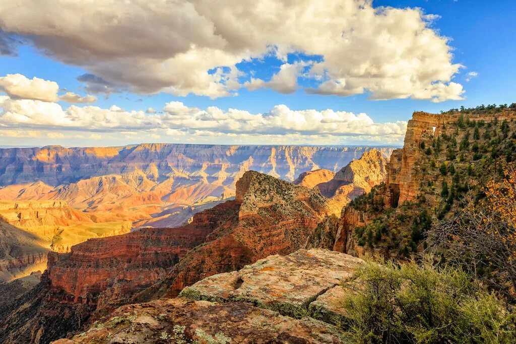 Национальный парк гранд каньон фото It Really is Grand! A view from the North Rim Grand Canyon. Flickr