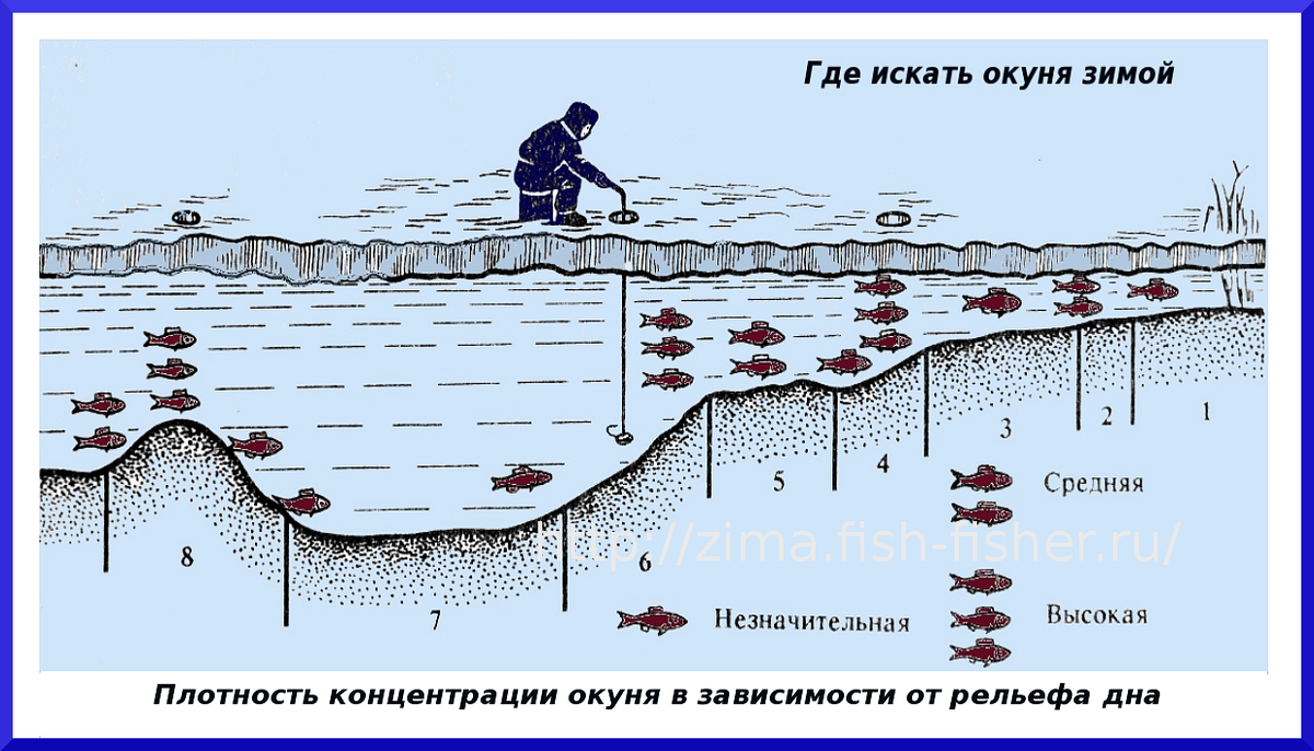 Найти какие приманки нужны на леща щуку Ловля окуня на мормышку. Часть 1: места обитания полосатого Туманные рассветы Дз