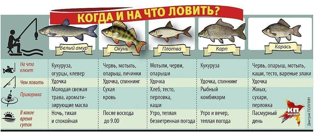 Найти какие приманки нужны на леща щуку Ловля щуки в пруду на спиннинг, выбор места для вылова: разбираемся тщательно