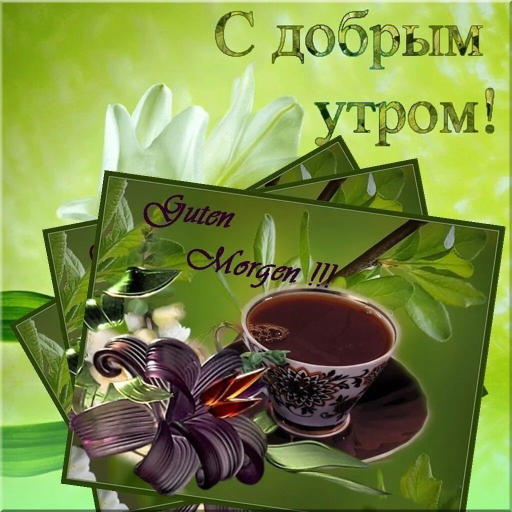 Найти картинки с добрым утром Всем доброе утро дорогие друзья! Ждите новую топовую серию Ведьмака 3: Дикая Охо