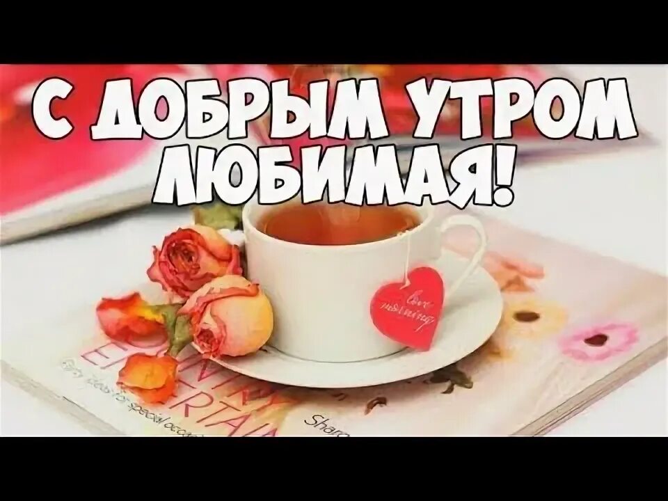 Найти картинки с пожеланием жене доброе утро С Добрым Утром Любимая! Очень Нежное Красивое Поздравление! - YouTube