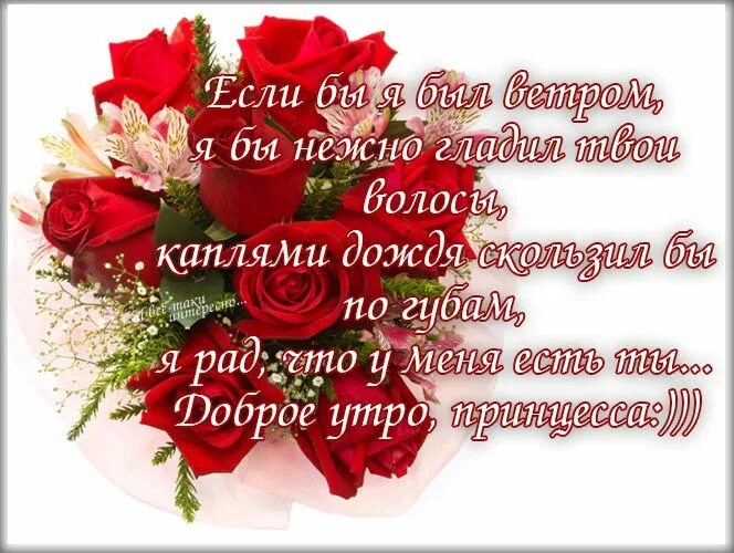 Найти картинки с пожеланием жене доброе утро Картинки для любимой "Я люблю тебя" (36 фото) ⭐ Мемы на любой случай Картинки, О