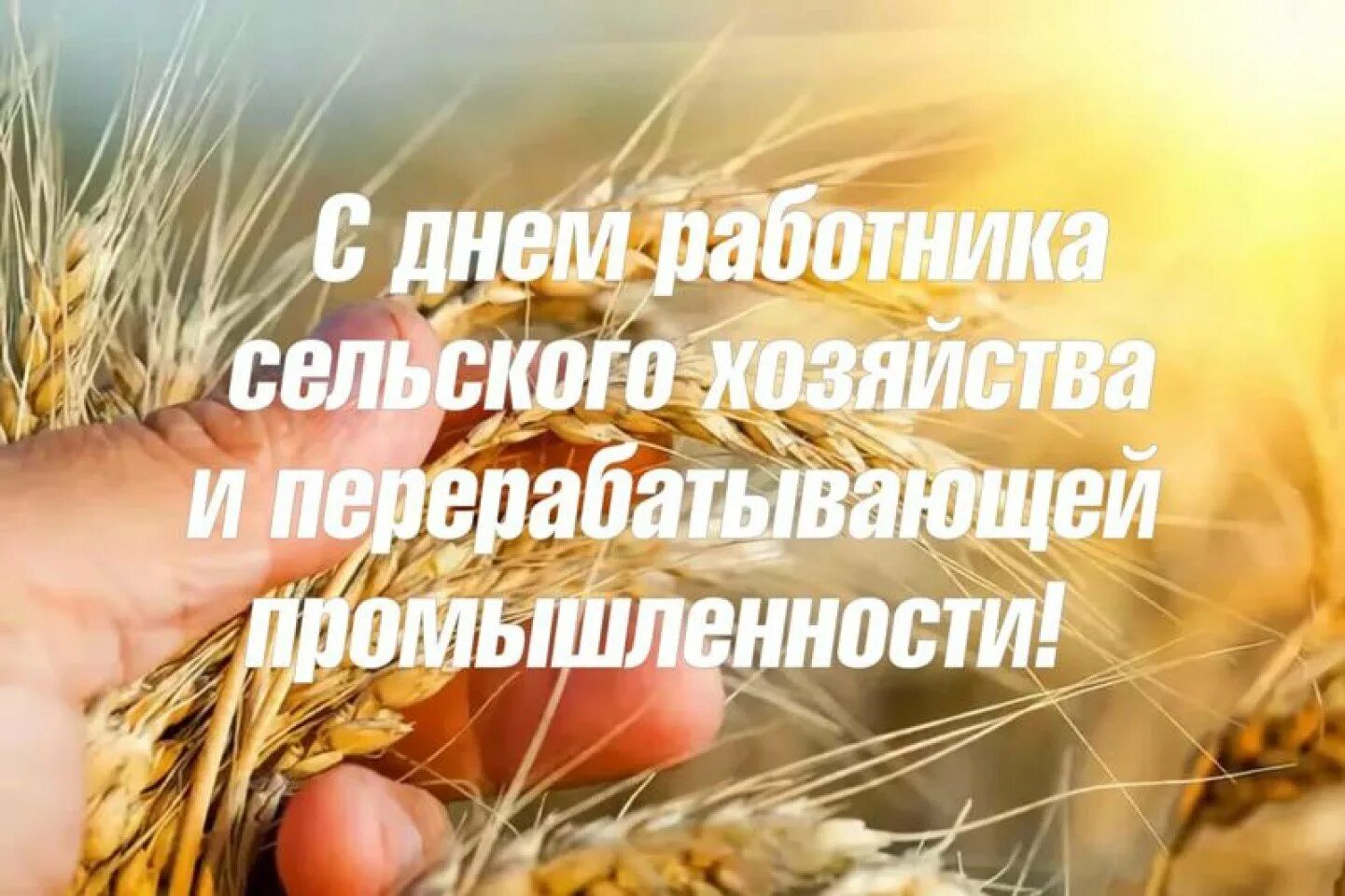 Найти картинку с днем работника сельского хозяйства UiKit
