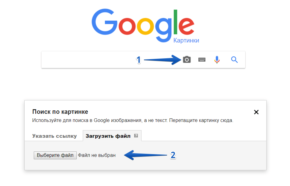 Найти схему по фото с телефона Как по фотографии найти информацию в интернете