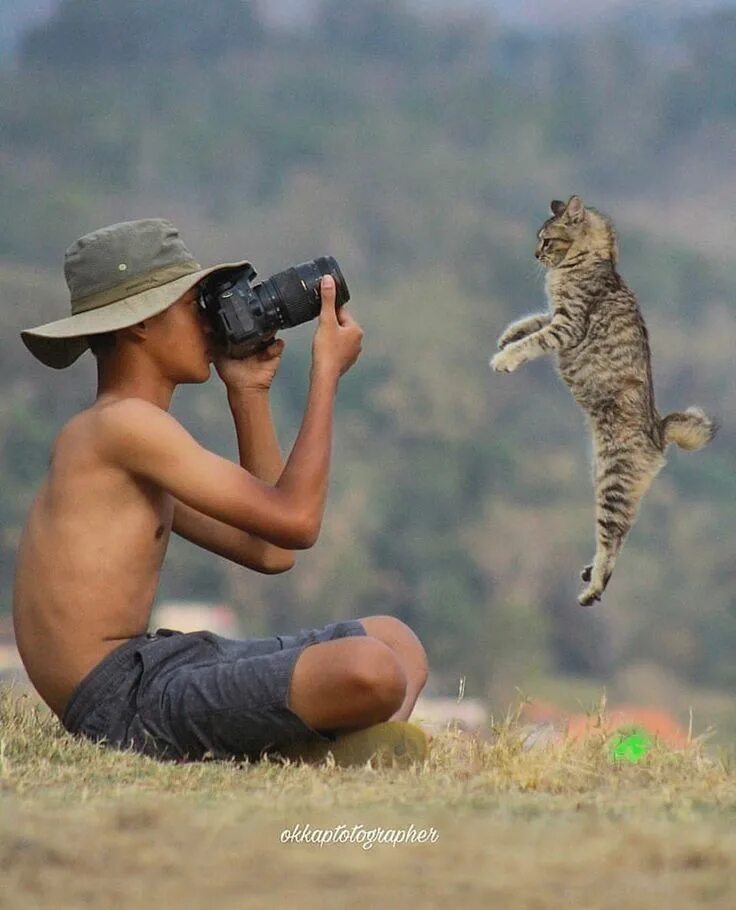 Найти смешные фото Canon Photography (CP) on Instagram: "We can only imagine how good this image wi