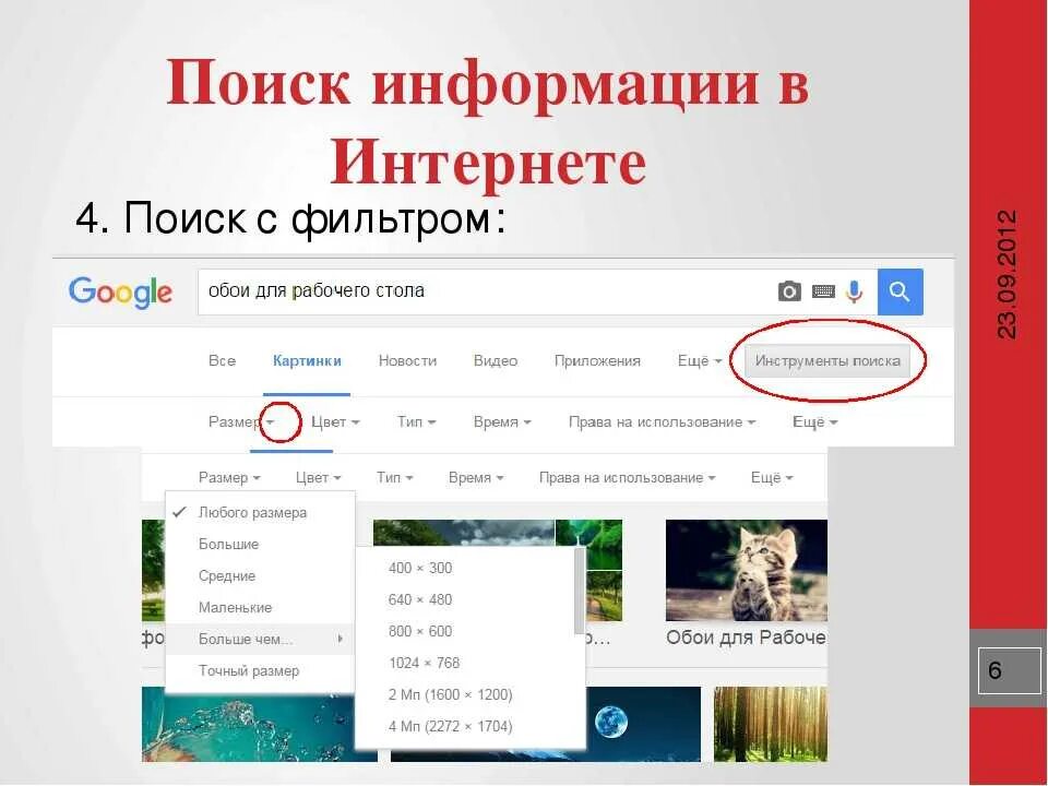 Найти такое же фото в интернете Найти картинку по номеру: найдено 89 изображений