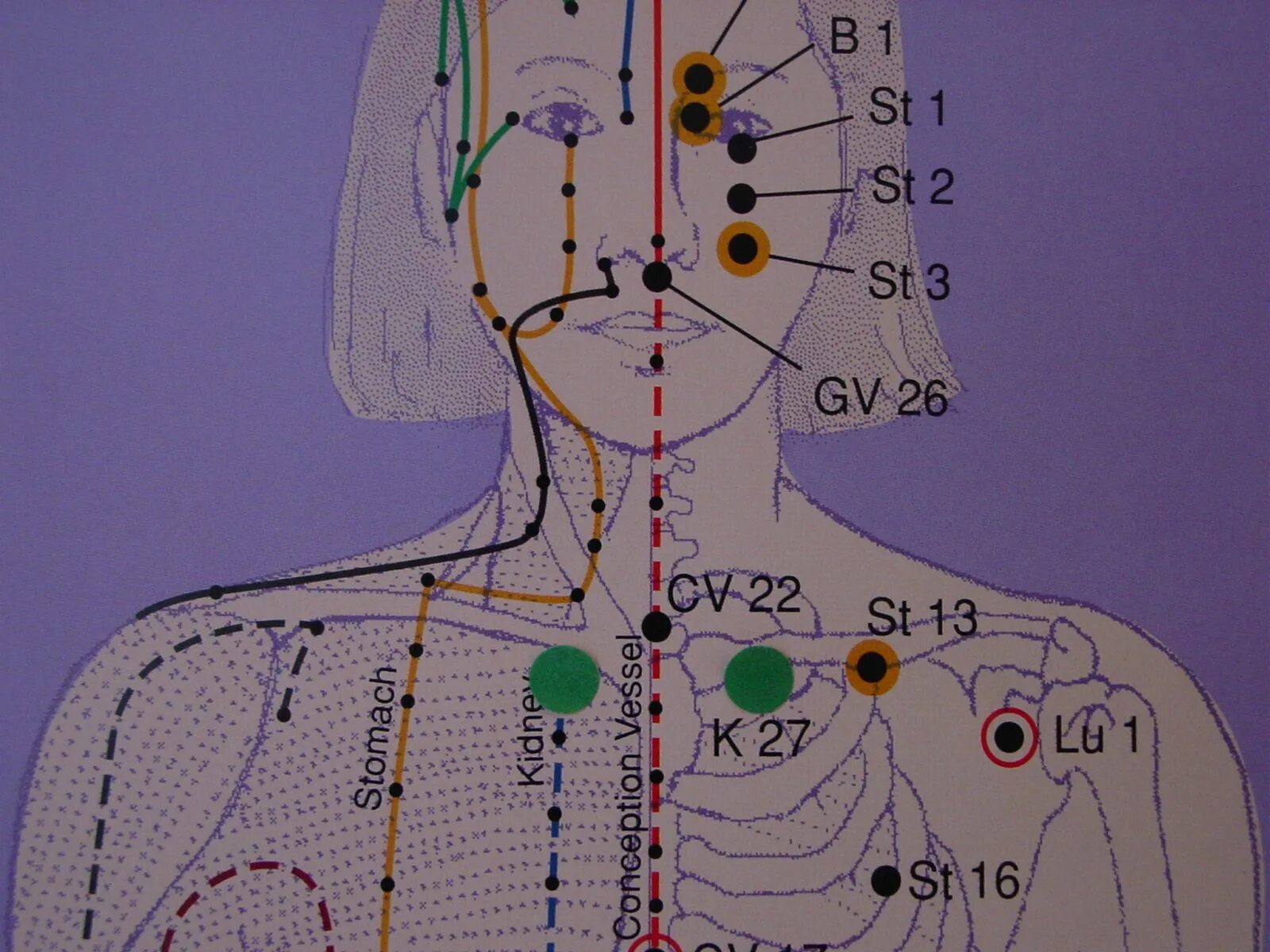 Найти точки на фото Acupressure Resources Acupressure, Chest congestion, Acupressure points