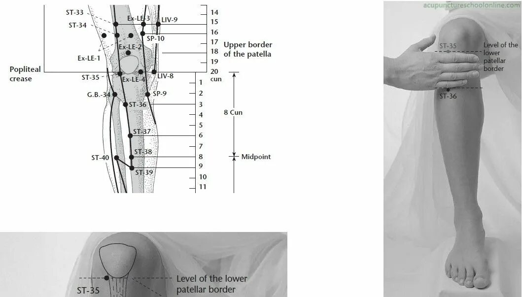 Найти точки на фото ST-36 Leg Three Miles ZUSANLI - Acupuncture Points -2 마사지, 역사