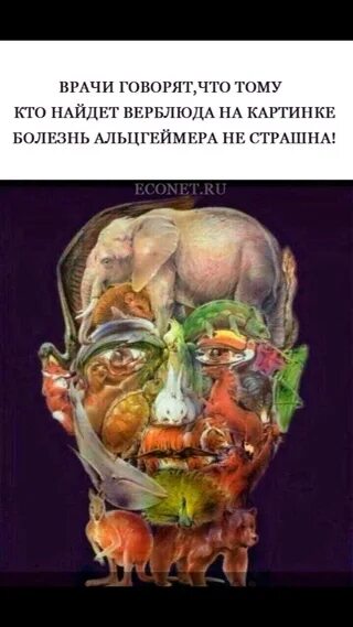Найти верблюда на картинке лицо из животных Ответ картинки найдите верблюда: найдено 90 изображений