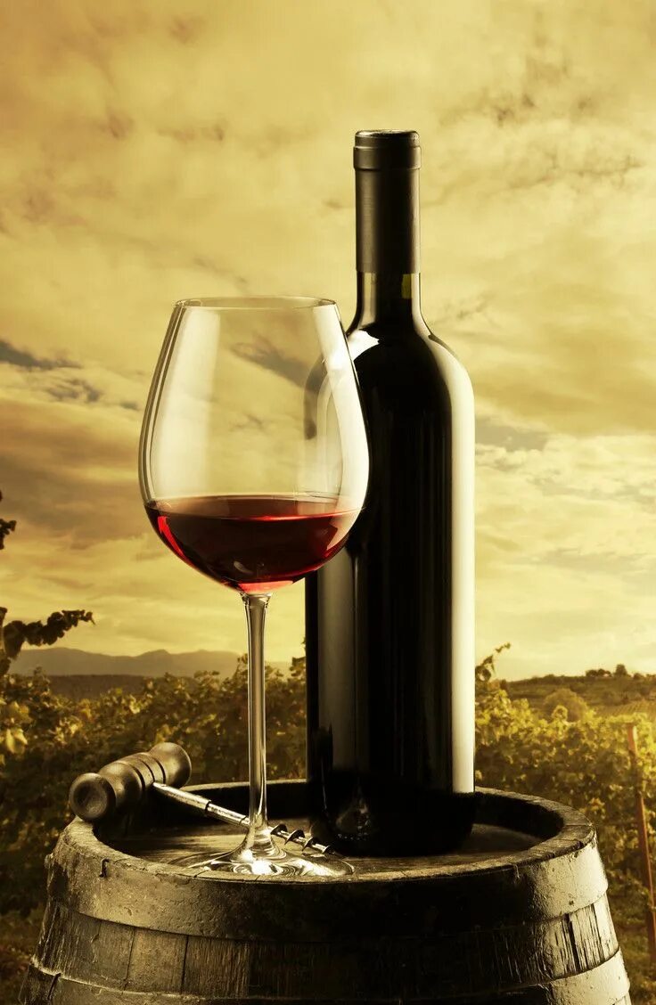 Найти вино по фото онлайн Red Wine Bottle and Glass - Luxury Wine Accessories